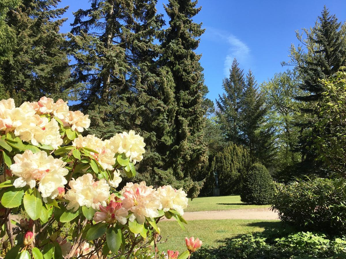 Residenz Bleichroeder - Teja Mit Strandkorb Heringsdorf  Esterno foto